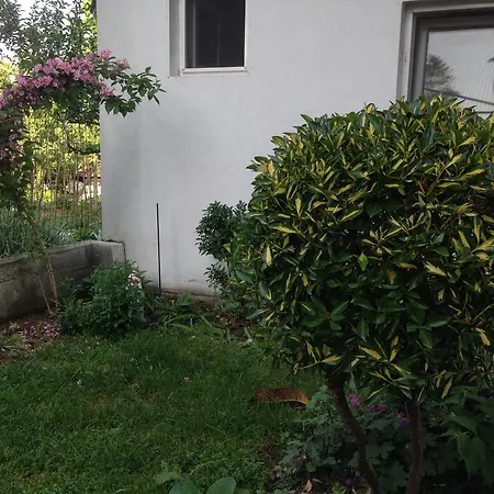 Kostadinovi بيت ضيافة لوزينيتس