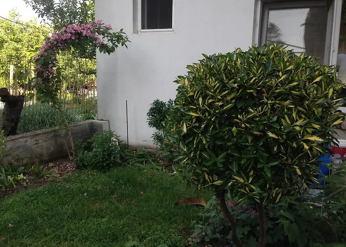 Kostadinovi Gasthof Lozenets